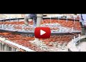 Видео «Завод по производству ПВХ плитки Moduleo
